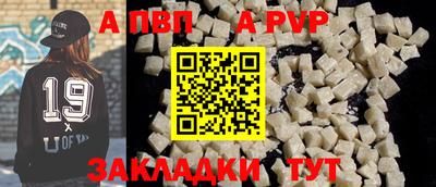 спайс Кингисепп