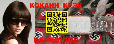 спайс Кингисепп