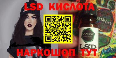 спайс Кингисепп