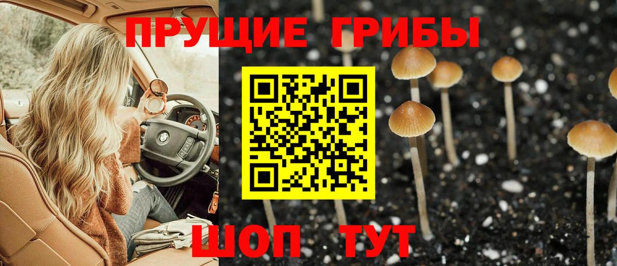 Галлюциногенные грибы Psilocybine cubensis Королёв