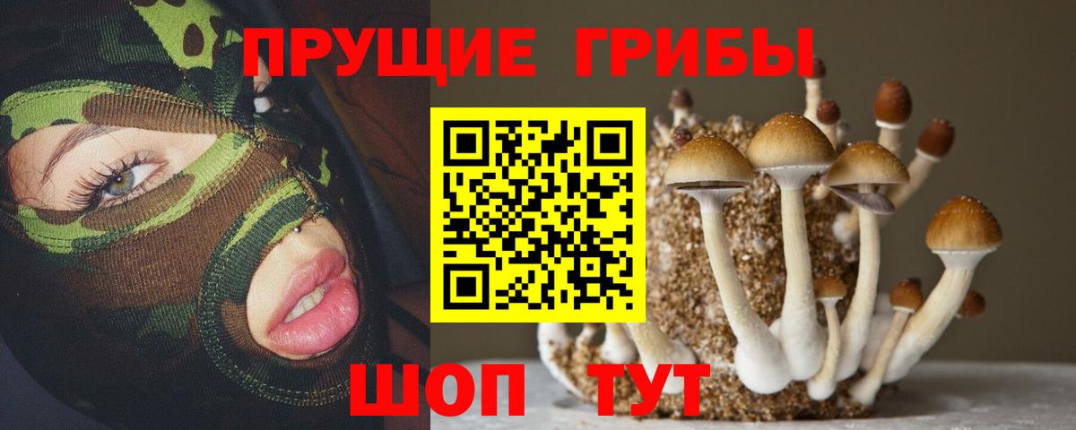  COCAIN Королёв